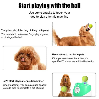 Automatic Dog Tennis Ball Launcher Dogs Chase Toys Automatic Fun Interactive Machine Fun Interactive Rechargable Catapult 6 Ball