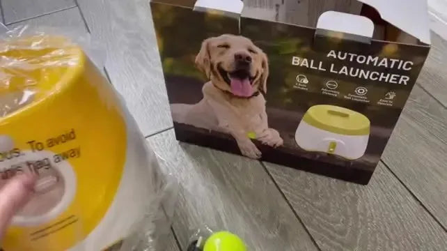 Automatic Dog Tennis Ball Launcher Dogs Chase Toys Automatic Fun Interactive Machine Fun Interactive Rechargable Catapult 6 Ball